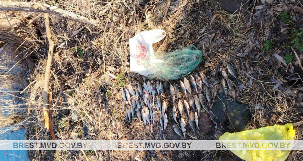 Ловил рыбу, а поймал до 4 лет лишения свободы